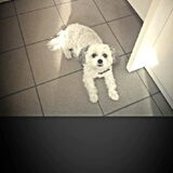 Mijn lieve quincy rust zacht