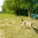 Hombeek 15/7