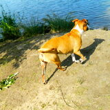Hombeek 15/7