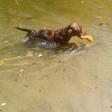 M'n kleine Kiva <3 eerste keer zwemmen!!