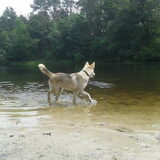 Foto van wolfwoman