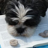 Gek op lezen...