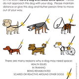 Yellow Dog Project, geef deze honden de ruimte