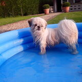Foto van Emely, Bently's baasje