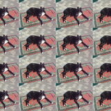 Dit is Daco, een galgo die nog jong was toen ze bij ons kwam, ze is een…