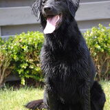 Hoera Ayla 1 jaar !!