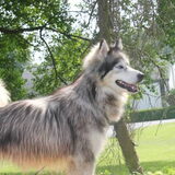 mooie madame