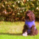 Lady met haar eerste gebreide pullover...