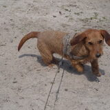 En dit is dan het geheel