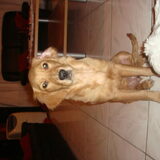 dit is luna nu met 5 maanden oud