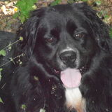 Foto van tessa