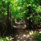 Foto van tessa