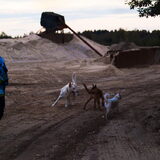 Foto van Hetty & Skipper