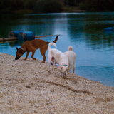 Foto van Hetty & Skipper