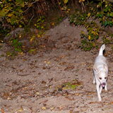 Foto van Hetty & Skipper