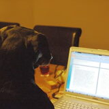 Nog even baasje helpen om het boekje van de Pinscher vereniging in…