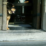 Foto van http://www.do-khyi-jinadhara.be