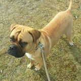 Duinen..
