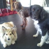Fleur, Phoebe, Nouska
