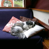 Best vermoeiend, varen...