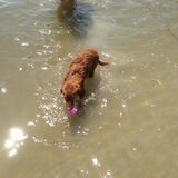 oehhhhhh heerlijk dat water ff afkoelen