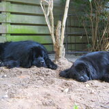 Lucy met haar vriend