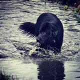 Foto van Anouk & Balou<3