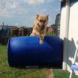 Parcourtje met Heera :-)
