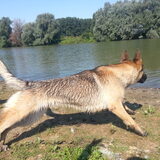 Foto van Lisanne, Misha, Tessa&Arrow