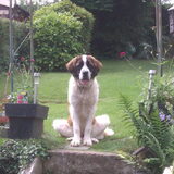 Luna toen ze wat jonger was