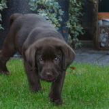 Foto van Wendy