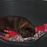 Foto van Wendy