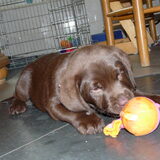 Foto van Wendy