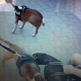 Even snuffelen hihi