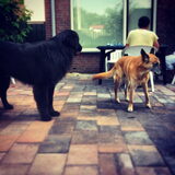 Foto van Anouk & Balou<3