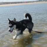 Foto van Jeanine :)