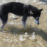 Foto van Jeanine :)