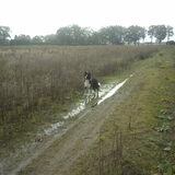 Foto van pien