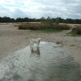 Heerlijk zon plasje water!!