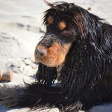 Foto van Valérie, Milo en Noa