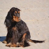 Foto van Valérie, Milo en Noa