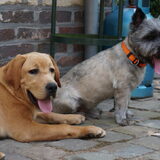 Foto van Goele & Cas