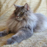 Wollie de Wolf 15 Maanden