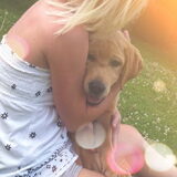 Love is when your lab licks your face even after you left him alone all…