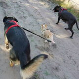 Wandelen met de groten :)