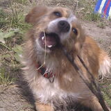 Foto van Luna