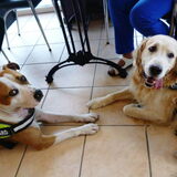 Alex en Tibo!