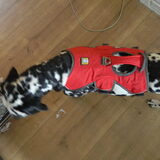 Foto van Yasmine, Perdie & Orga