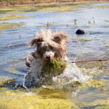 Foto van lesly