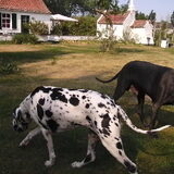 Foto van floortje